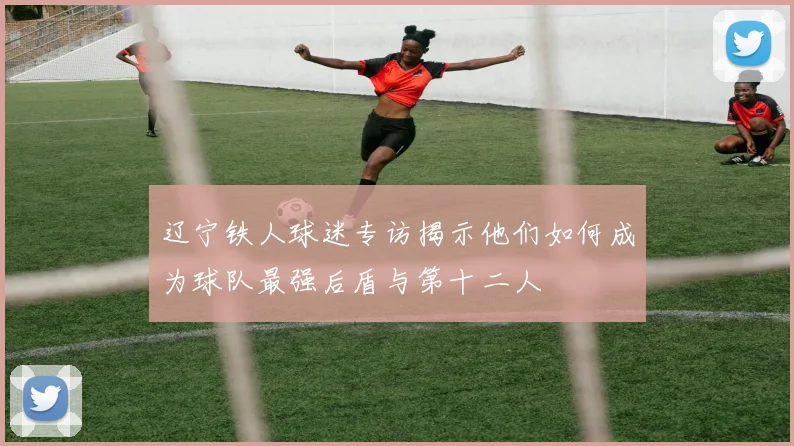 辽宁铁人球迷专访揭示他们如何成为球队最强后盾与第十二人