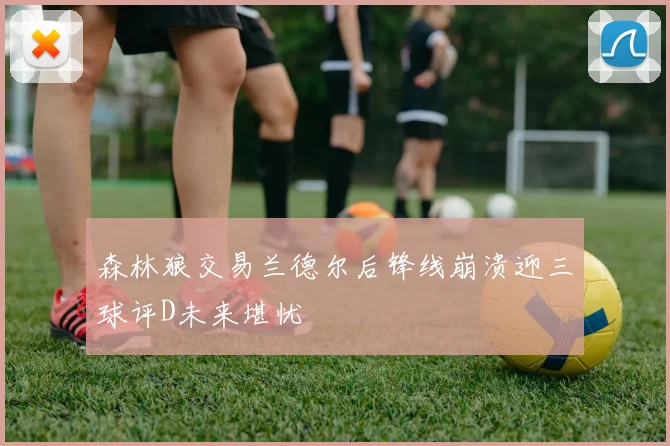 森林狼交易兰德尔后锋线崩溃迎三球评D未来堪忧