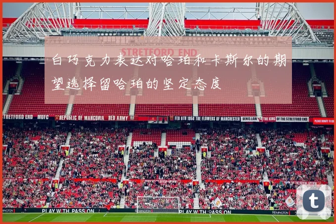 白巧克力表达对哈珀和卡斯尔的期望选择留哈珀的坚定态度